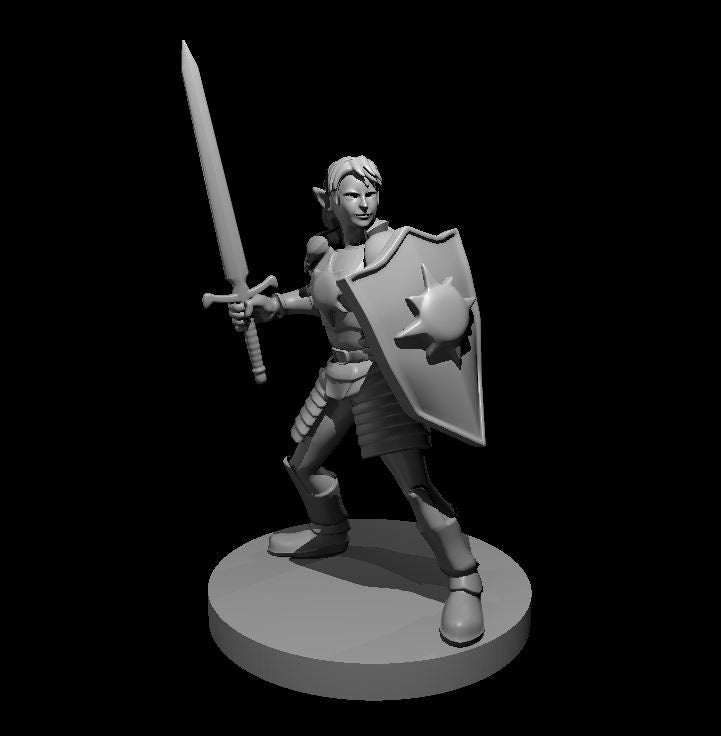 Elven Female Paladin Miniature