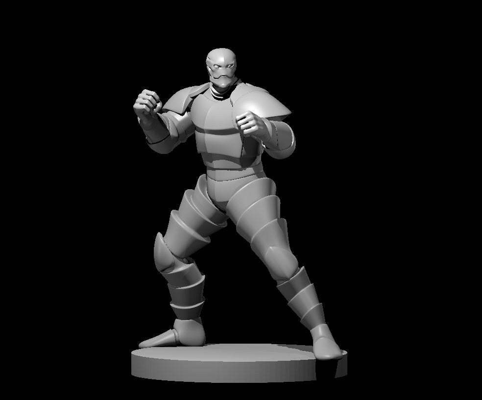 Warforged Monk Miniature