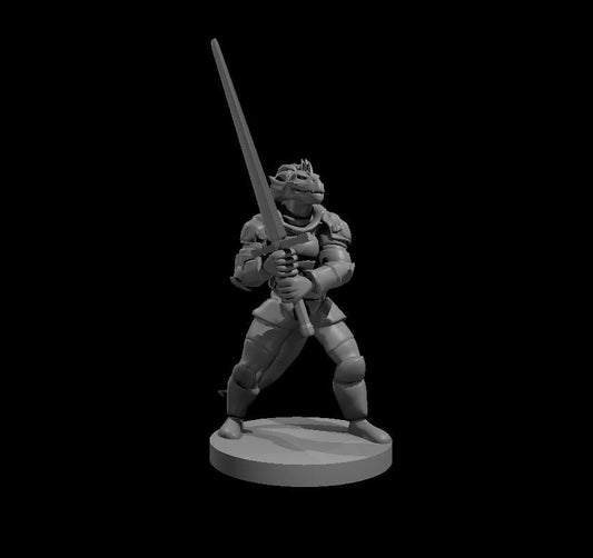 Dragonborn Fighter Miniature