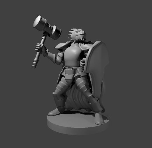 Dragonborn Fighter with Hammer Miniature