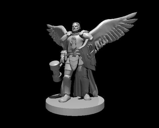 Aasimar Cleric with Hammer Miniature