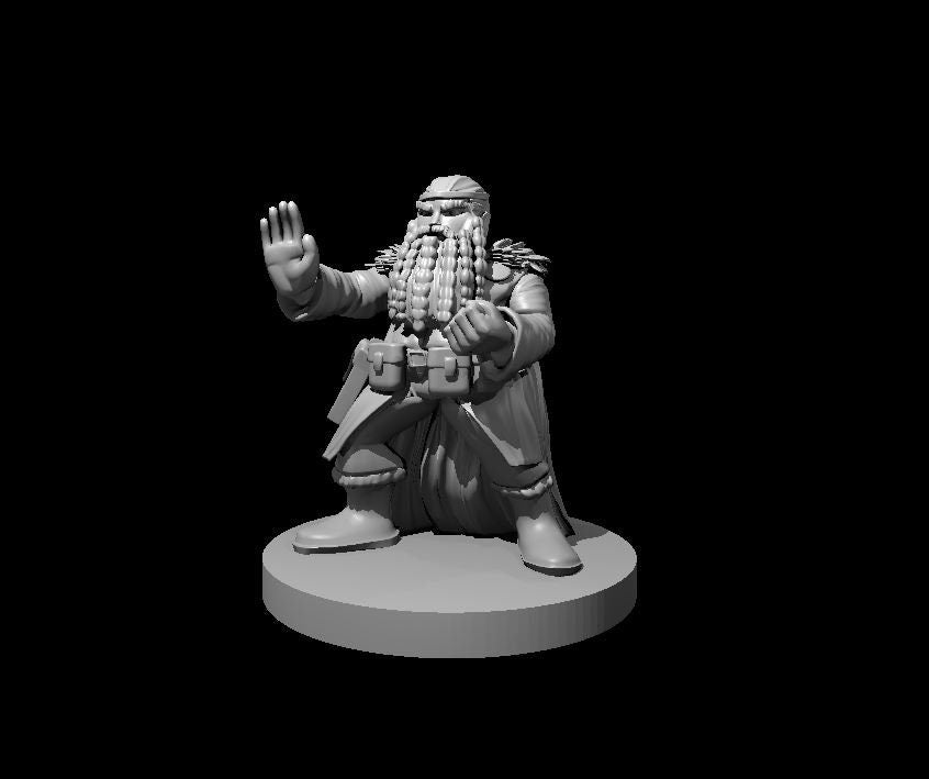 Dwarf Monk  Miniature