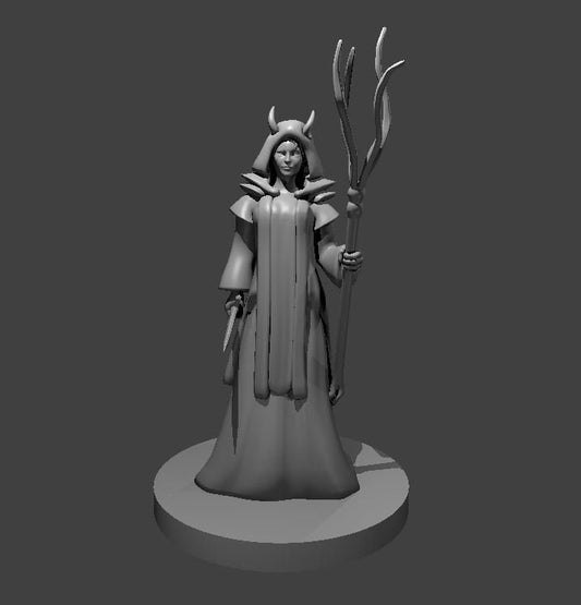 Tiefling Druid/ Wizard Miniature