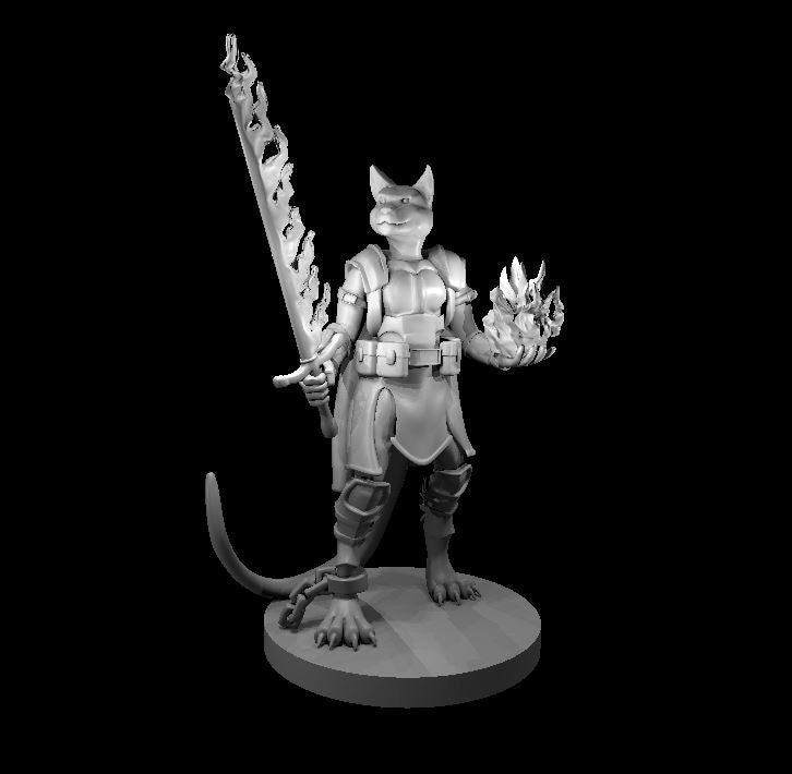 Tabaxi Warlock/ Fighter Miniature