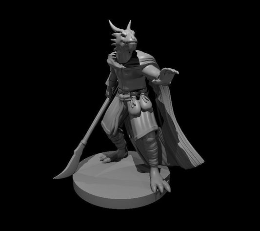 Dragonborn with Glaive Miniature