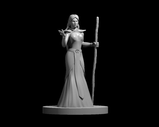 Elf Sorcerer Miniature Female