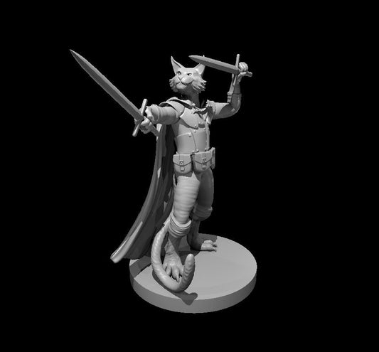 Tabaxi Rogue/ Fighter Miniature
