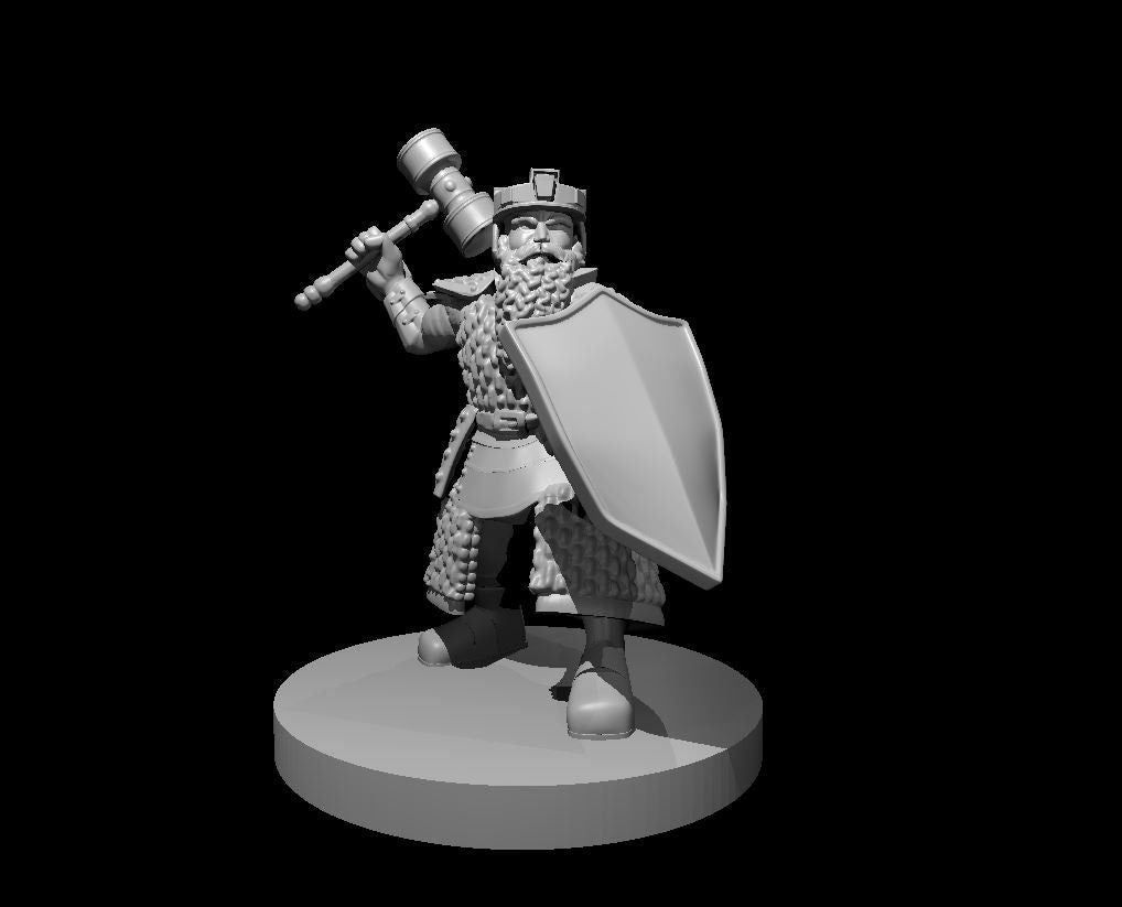 Dwarf Hammer Fighter Miniature