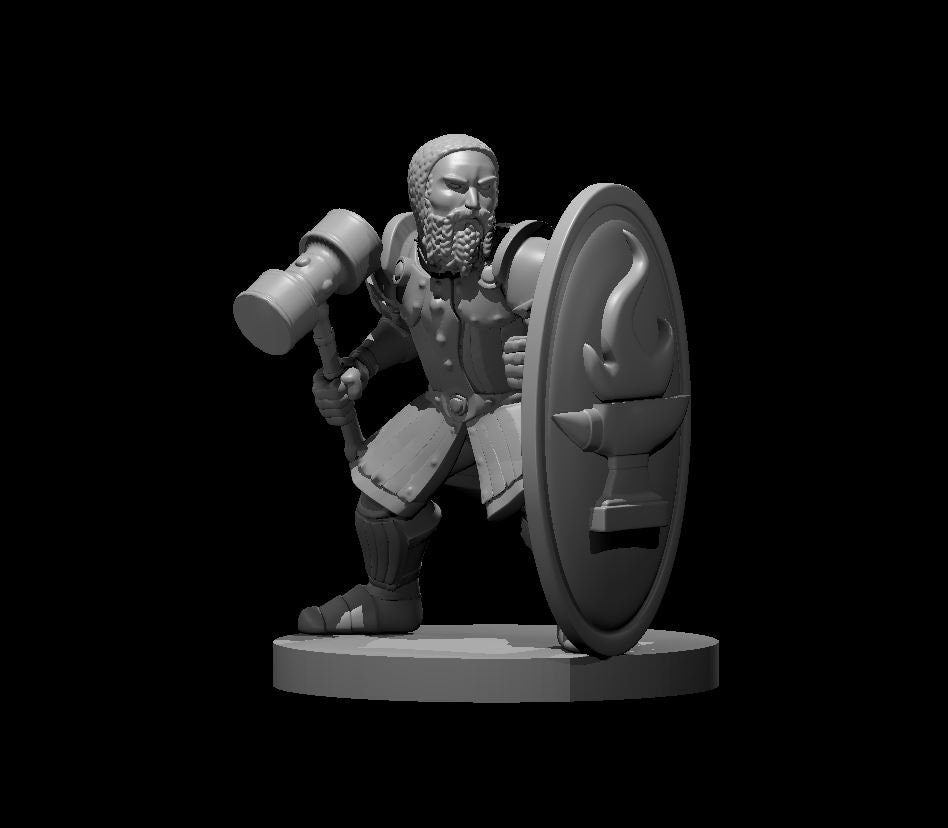 Dwarf Fighter Miniature