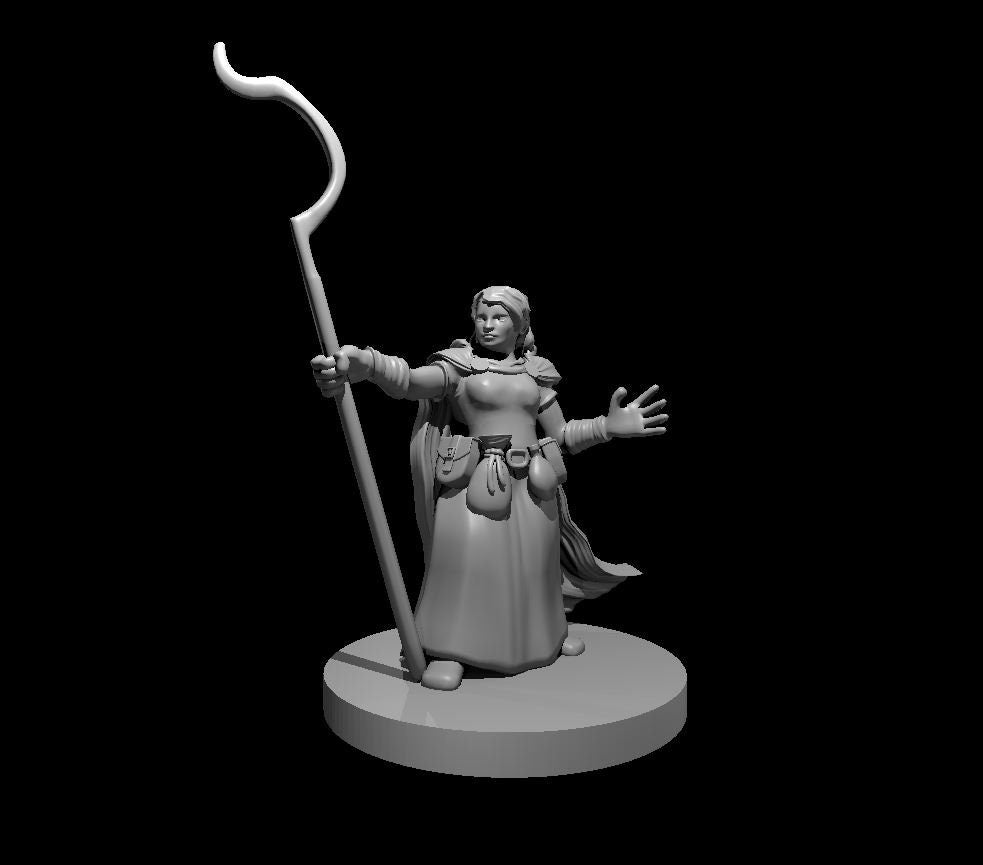 Dwarf Druid Miniature